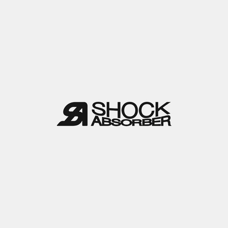 Shock-Absorber